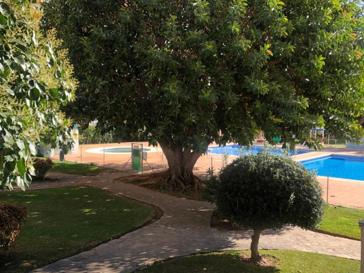 Estudio Vacacional Benalmadena Playa Dış mekan fotoğraf