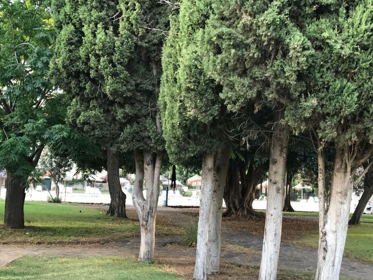 Estudio Vacacional Benalmadena Playa Dış mekan fotoğraf